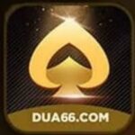 Dua Bet Game