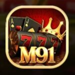 M91 Game
