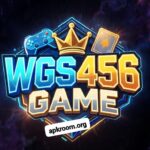WGS456 Game