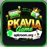PKAVIA Game